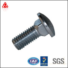 carriage bolt